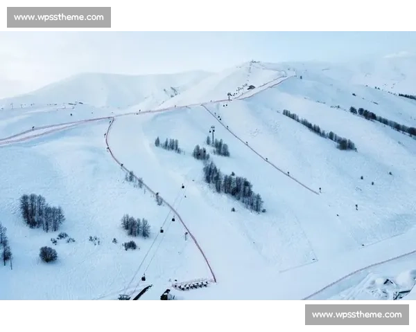 滑雪场意外频发安全隐患引发社会广泛关注 滑雪场意外频发安全隐患引发社会广泛关注